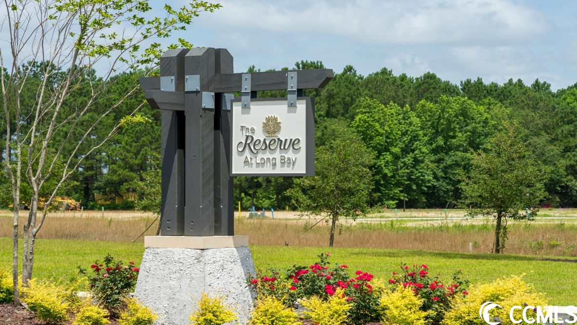 541 Talisman Trail Longs, SC 29568 - Photo 30 of 40