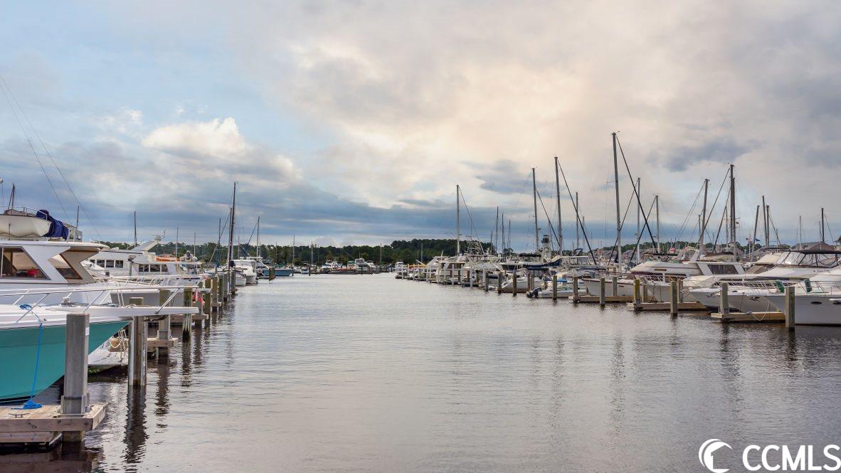 541 Talisman Trail Longs, SC 29568 - Photo 33 of 40