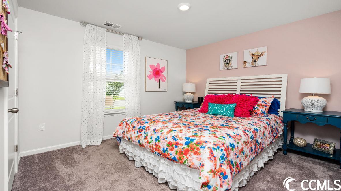 541 Talisman Trail Longs, SC 29568 - Photo 7 of 40