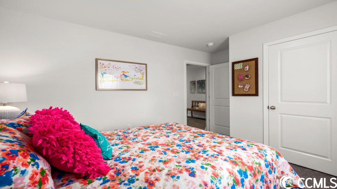 541 Talisman Trail Longs, SC 29568 - Photo 8 of 40