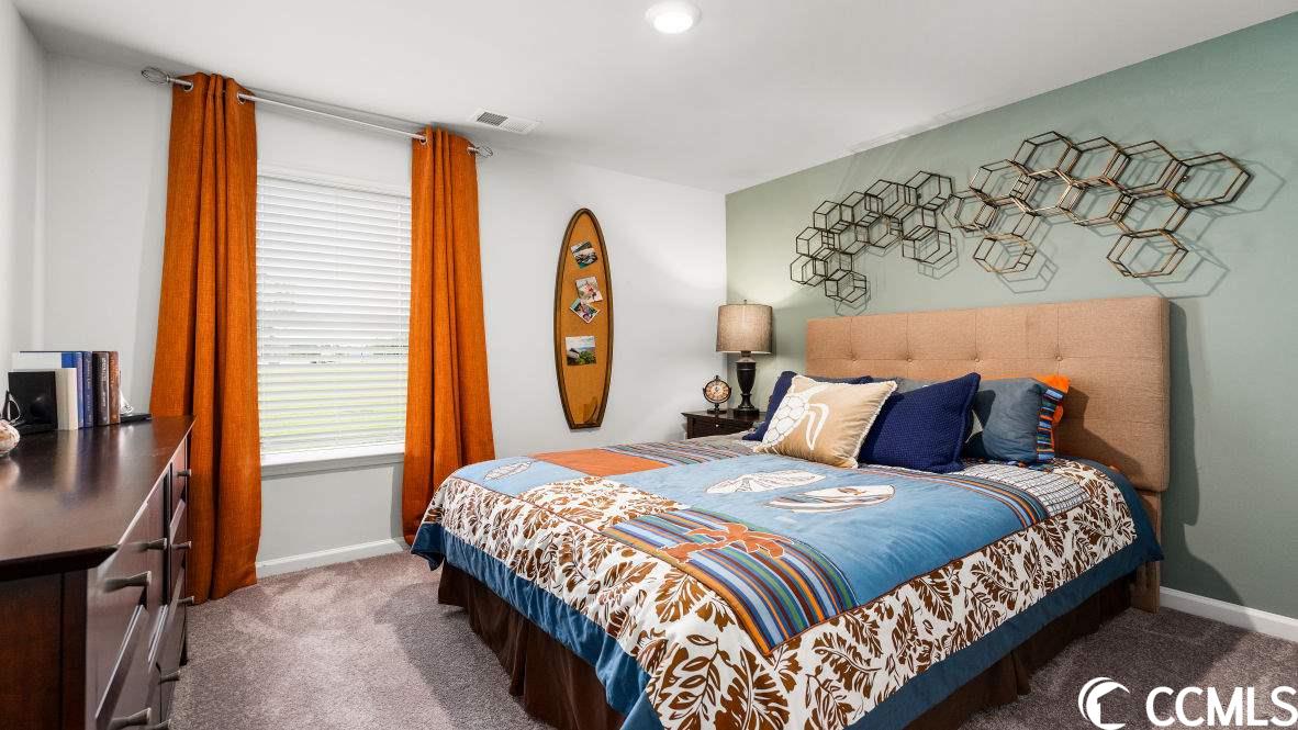 541 Talisman Trail Longs, SC 29568 - Photo 10 of 40