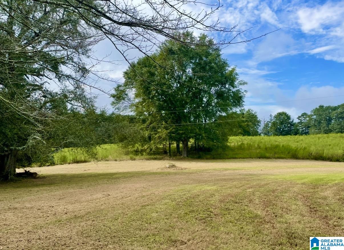 1749 McCollum Church Road Lineville, AL 36266 - Photo 53 of 66