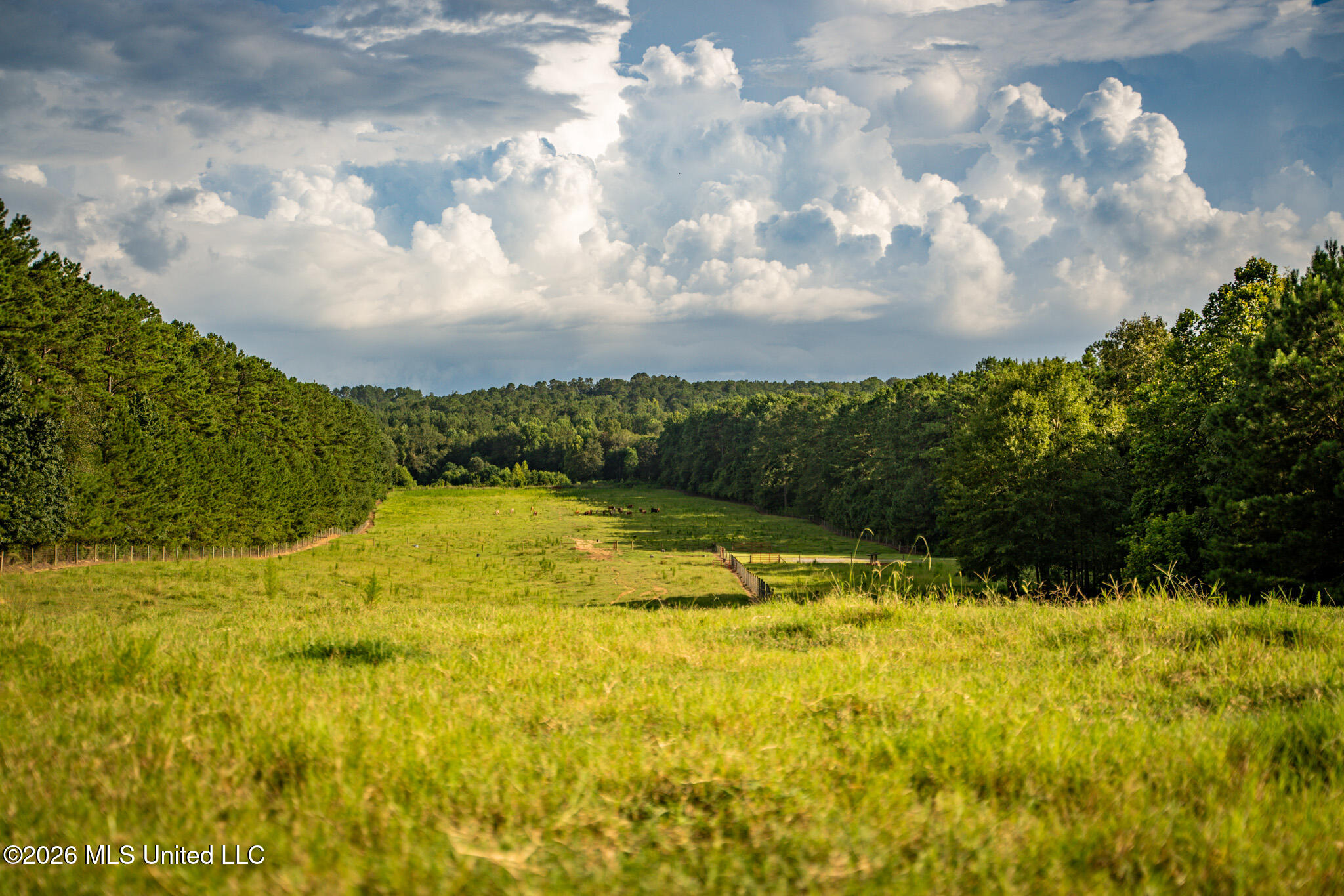 3024 Highway 84 Brookhaven, MS 39601 - Photo 55 of 74 51a