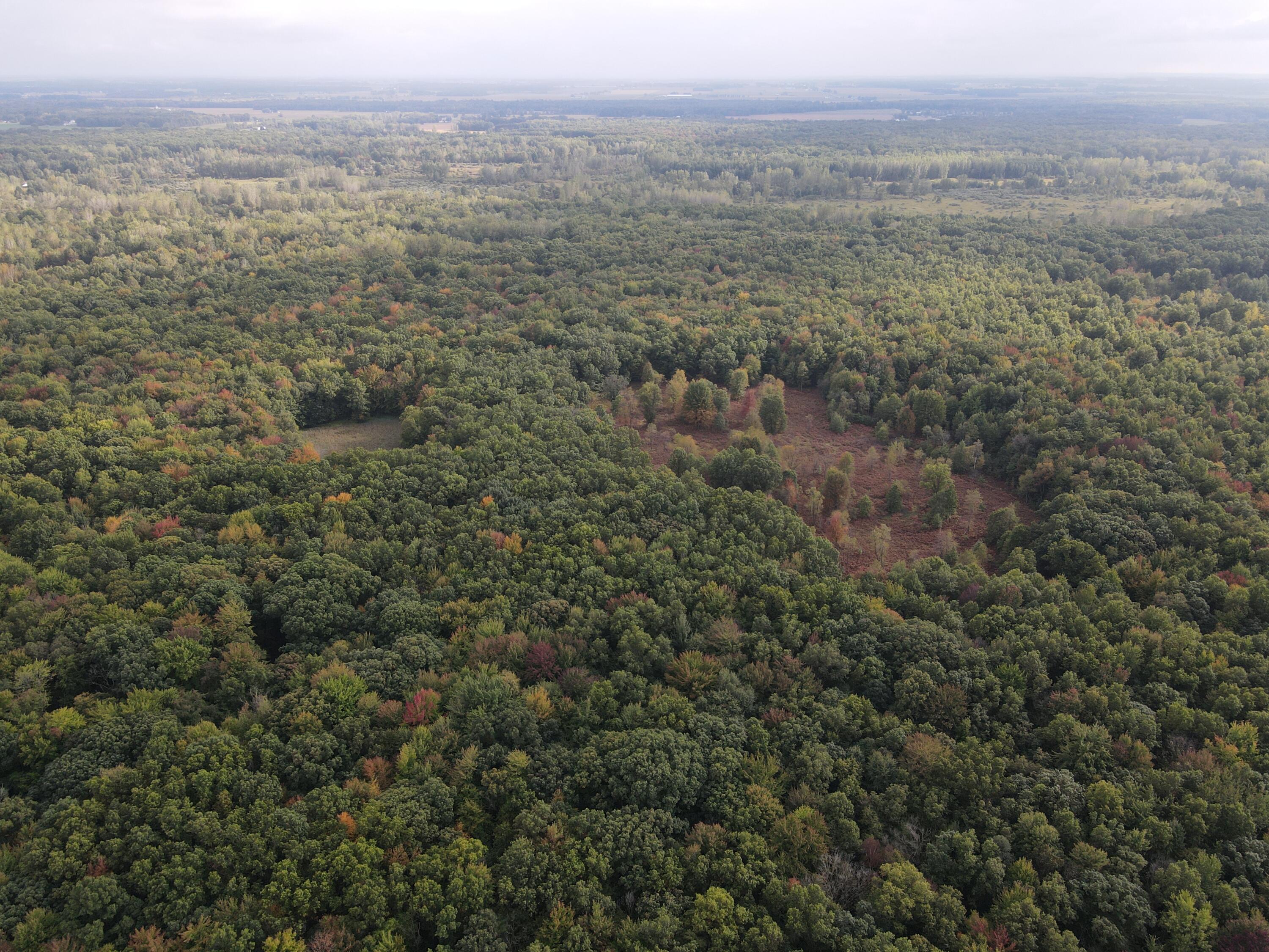 -vl South Mason Road Ashley, MI 48806 - Photo 4 of 44 DJI_0707