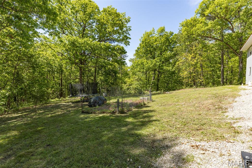 11117 Delbridge Road Potosi, MO 63664 - Photo 5 of 36