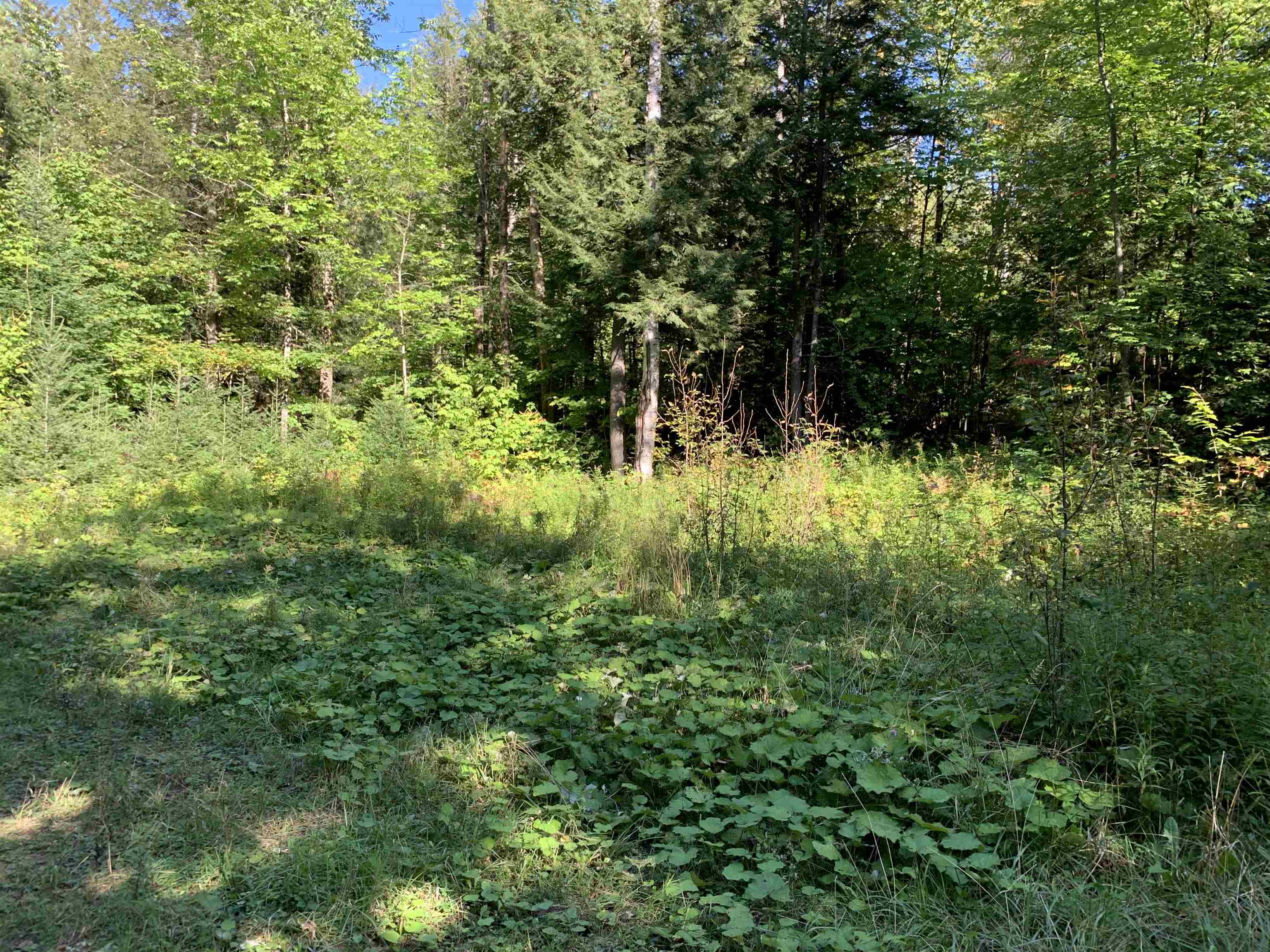 0 High Meadows Road, Unit 20 East Burke, VT 05832 - Photo 3 of 6 Gallery Image 3