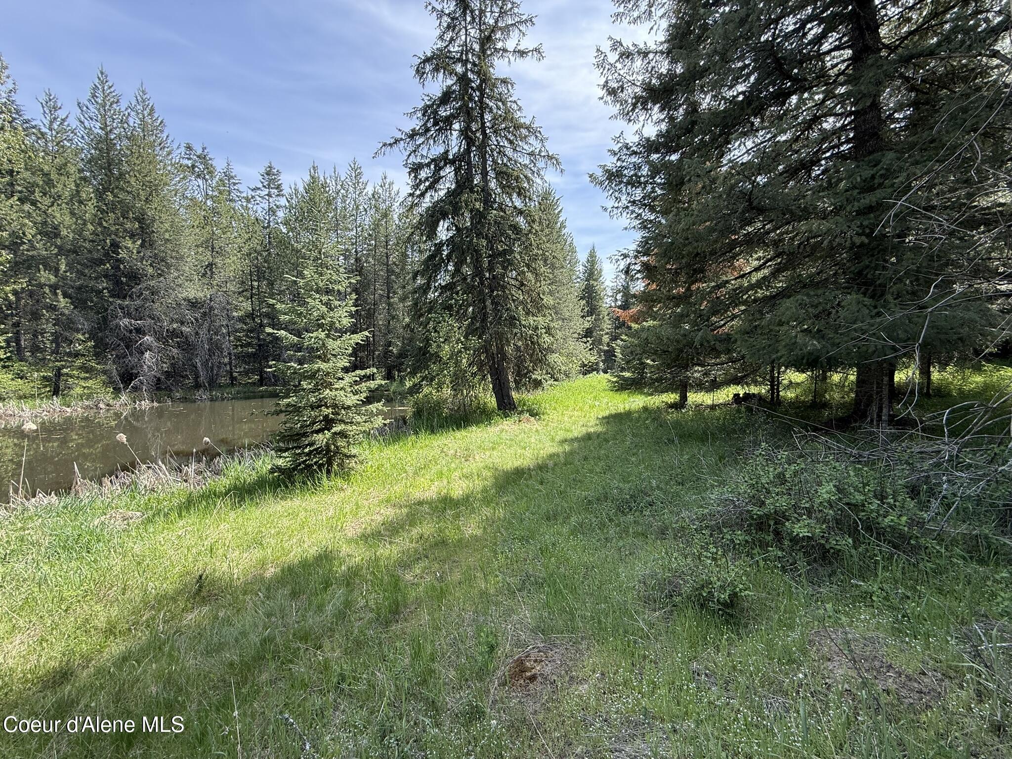 10334 Sanders Road Tensed, ID 83870 - Photo 42 of 69 IMG_8011