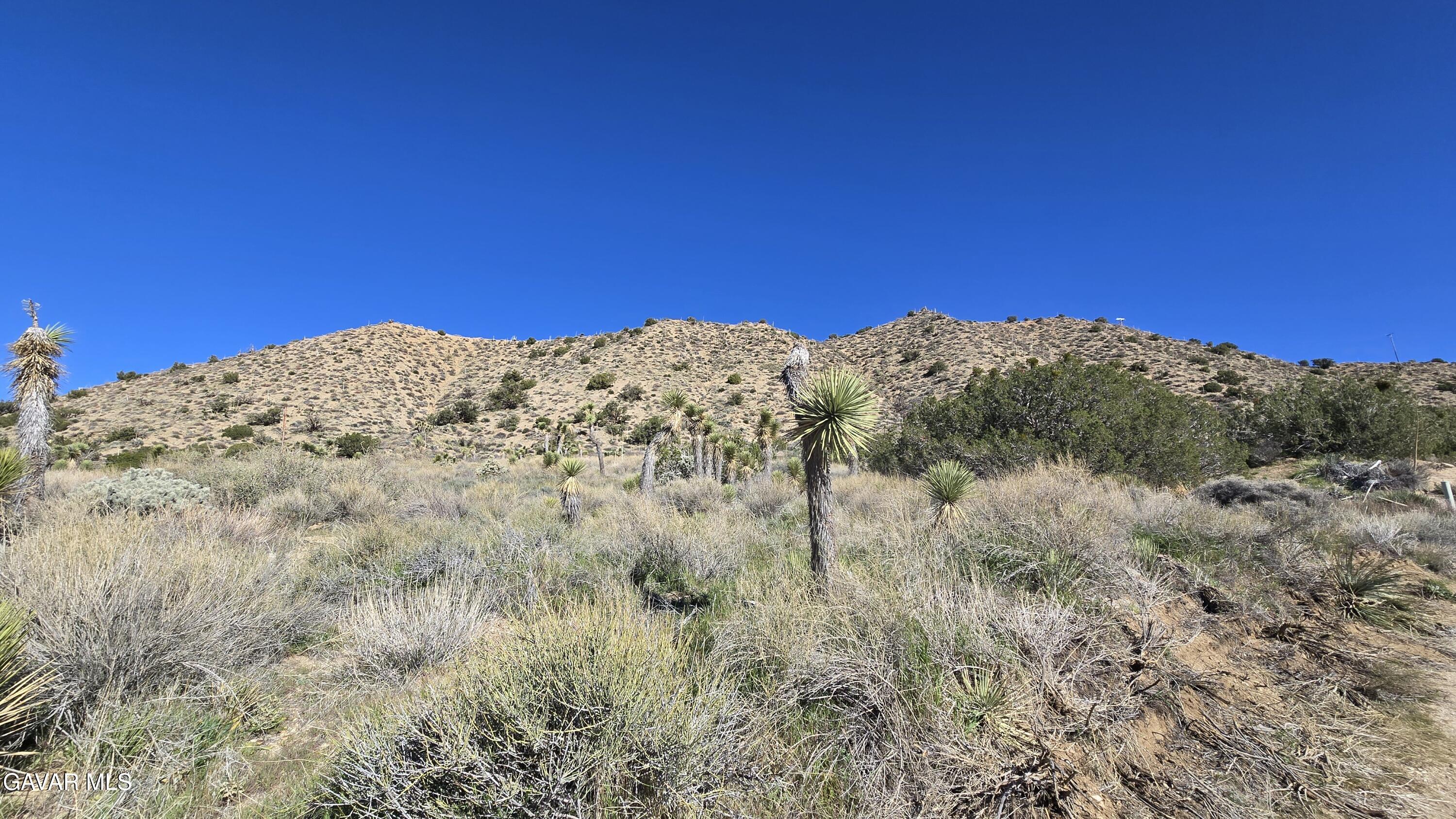 Pinon Road Llano, CA 93544 - Photo 12 of 31 a view of a large mountain with trees in the background