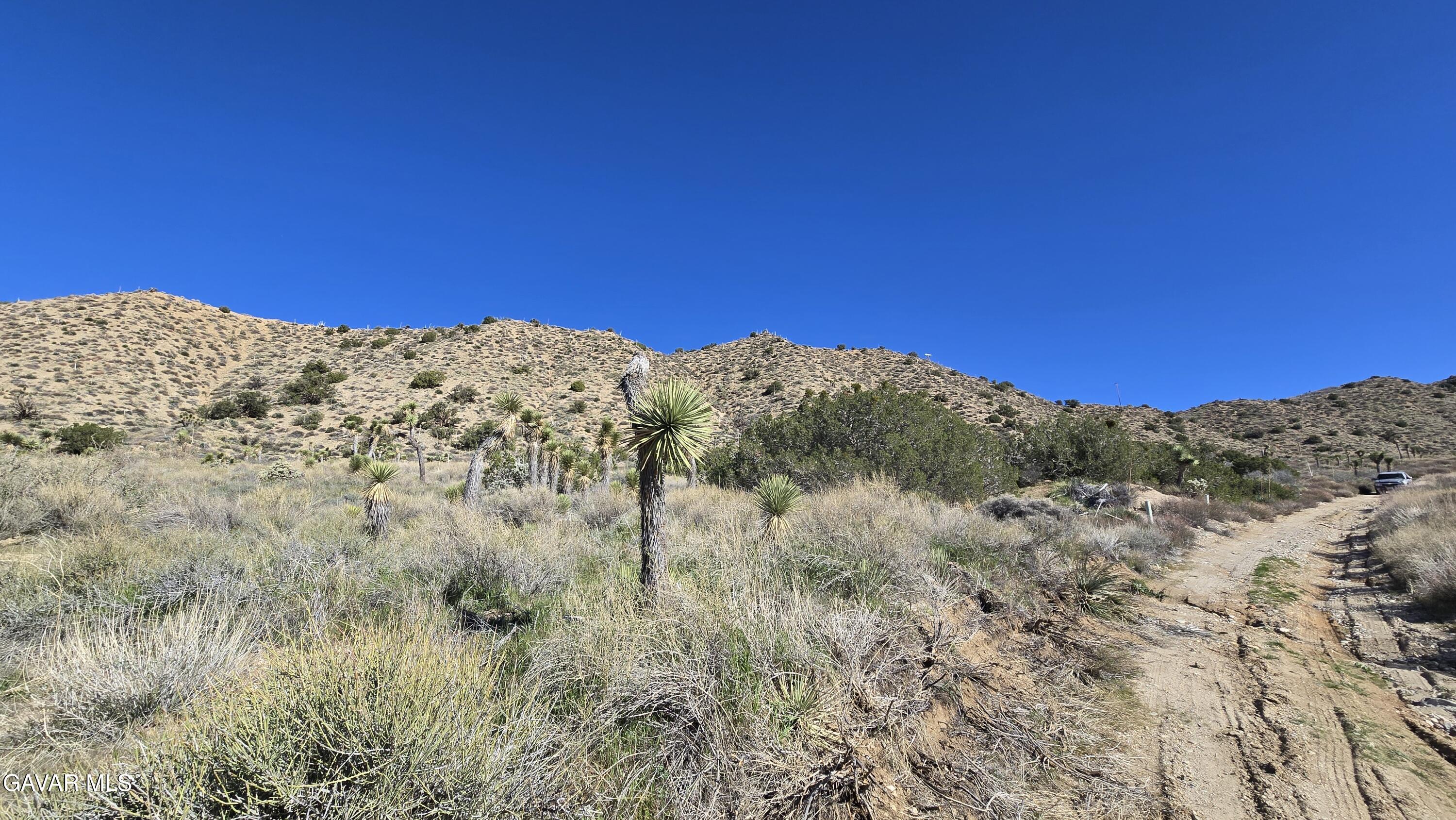 Pinon Road Llano, CA 93544 - Photo 13 of 31 a view of a dry yard