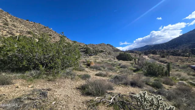 $59,900 | Pinon Road, Llano, CA 93544