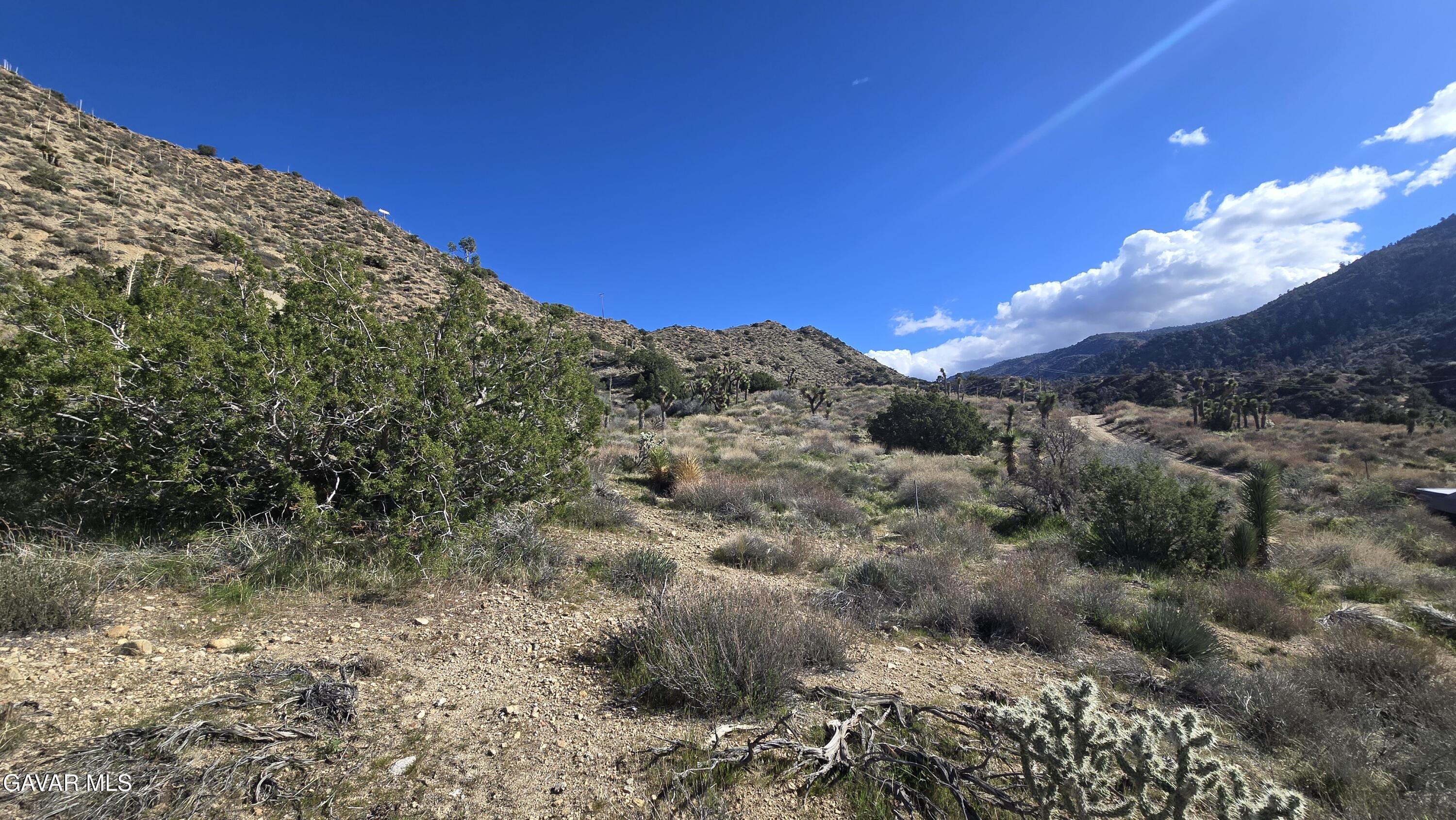 Pinon Road Llano, CA 93544 - Photo 20 of 31 a view of a lake with a mountain in the background