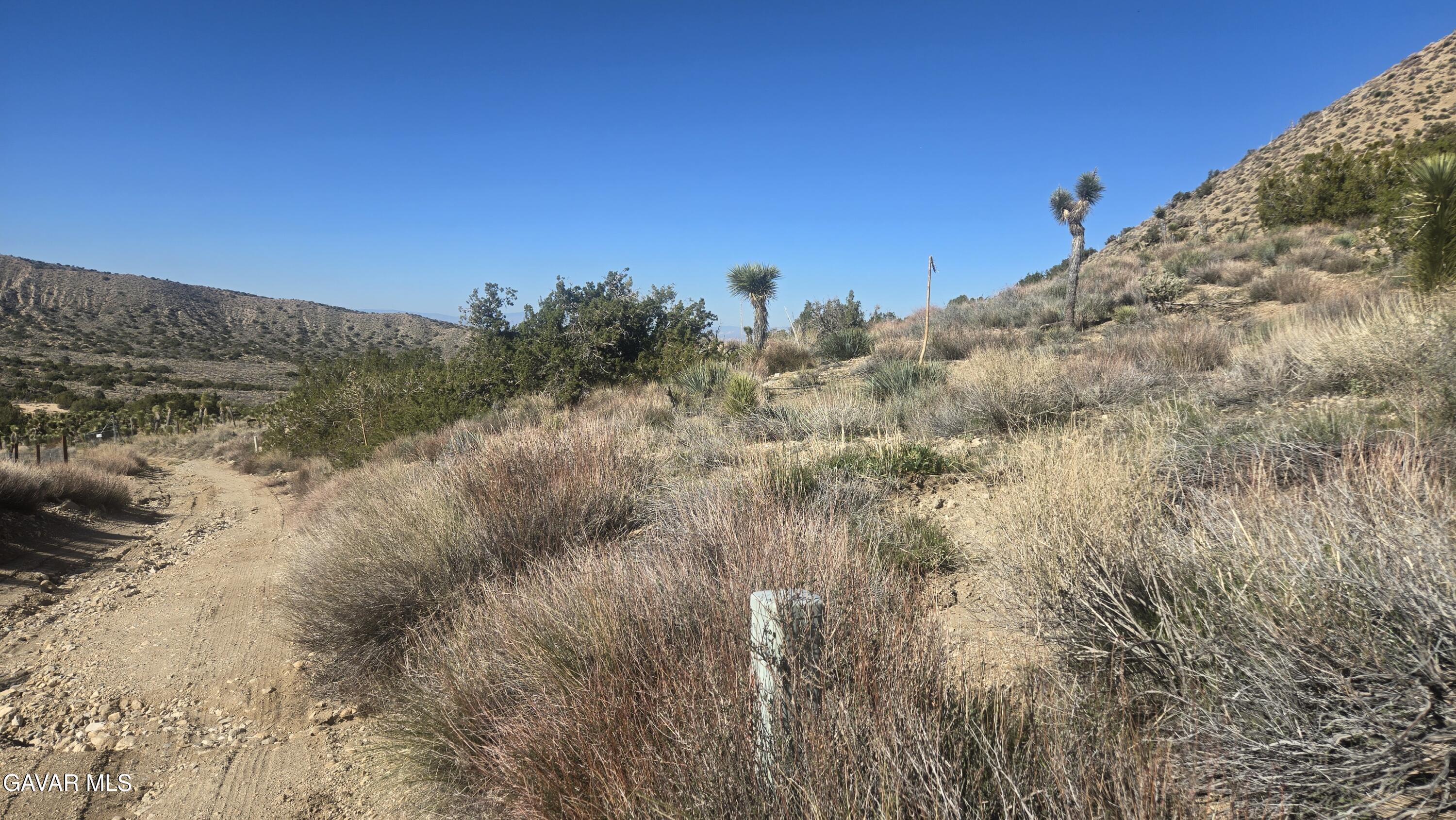 Pinon Road Llano, CA 93544 - Photo 2 of 31 a view of a dry yard with trees