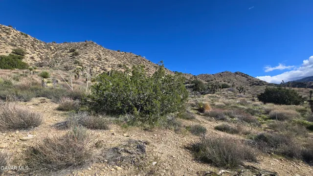 $59,900 | Pinon Road, Llano, CA 93544