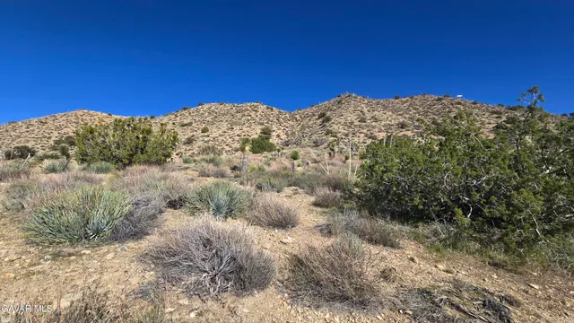 $59,900 | Pinon Road, Llano, CA 93544