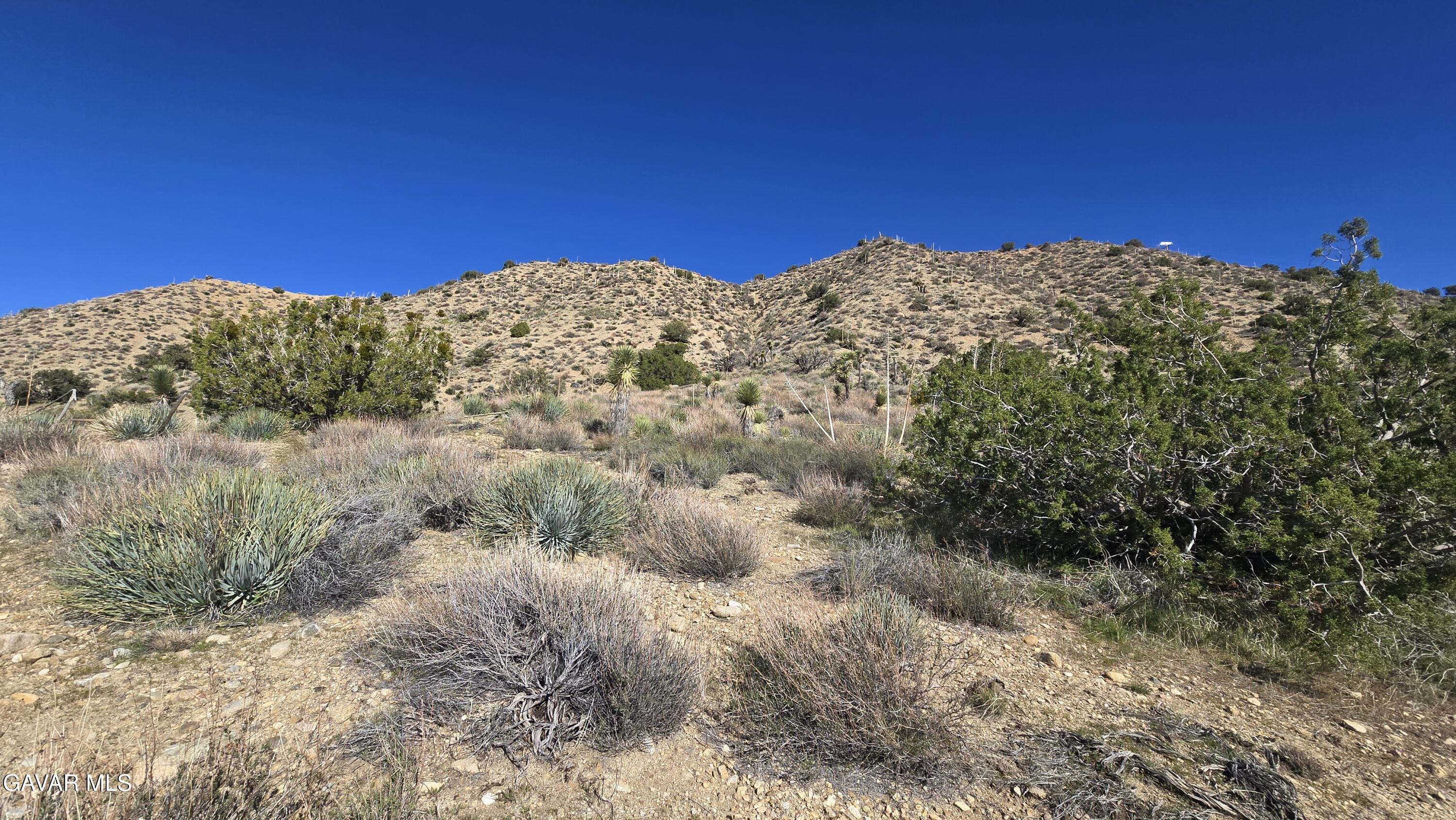 Pinon Road Llano, CA 93544 - Photo 22 of 31 a view of a large mountain with trees in the background