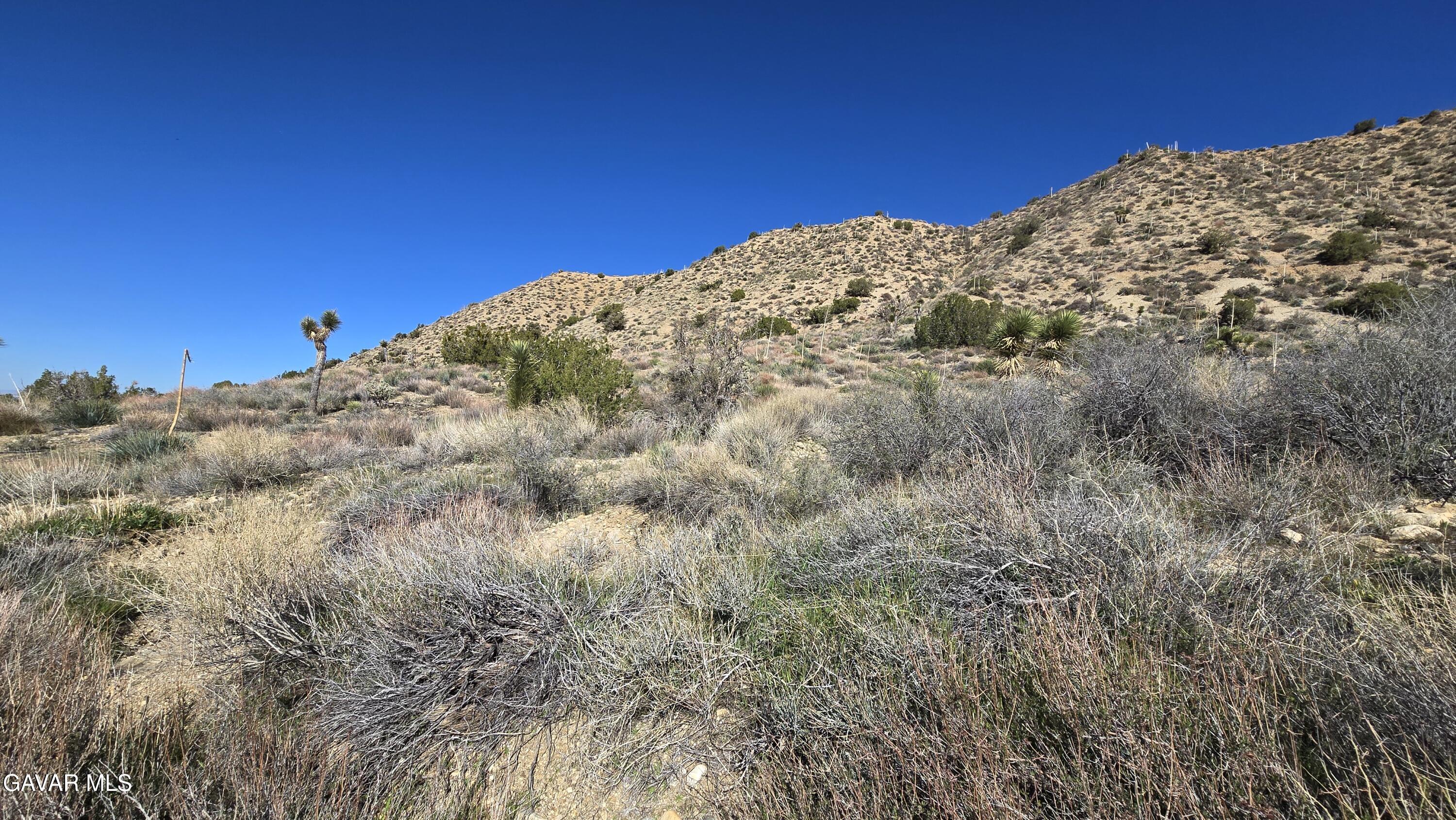 Pinon Road Llano, CA 93544 - Photo 3 of 31 a view of a big yard with mountains in the background