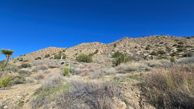 $59,900 | Pinon Road, Llano, CA 93544