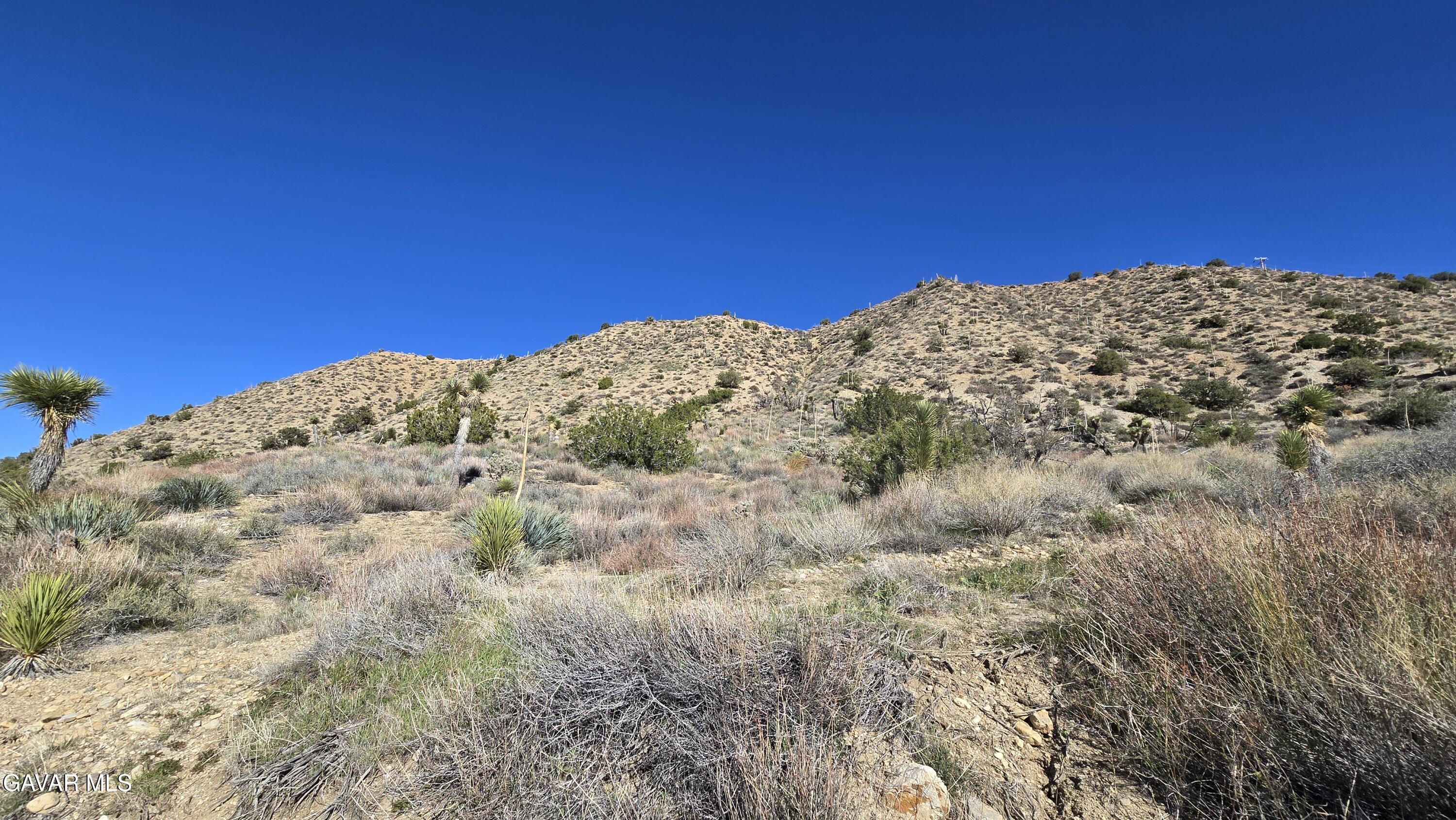 Pinon Road Llano, CA 93544 - Photo 5 of 31 a view of a large tree