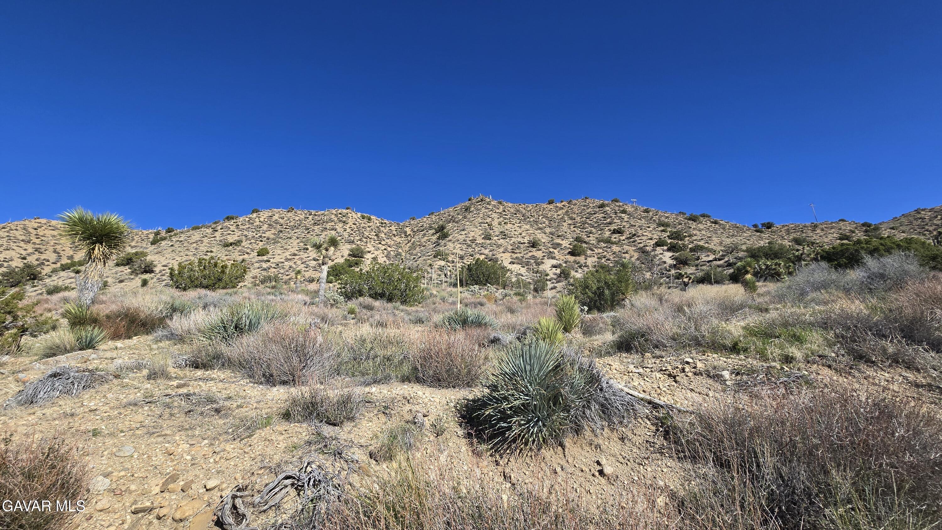 Pinon Road Llano, CA 93544 - Photo 7 of 31 a view of a field