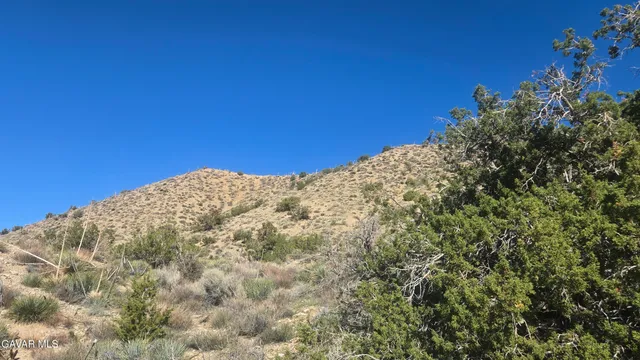 $59,900 | Pinon Road, Llano, CA 93544