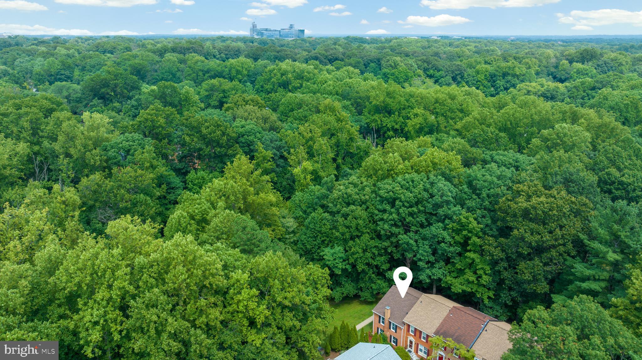 2304 Horseferry Court Reston, VA 20191 - Photo 3 of 66 Premium lot with mature trees and green space!