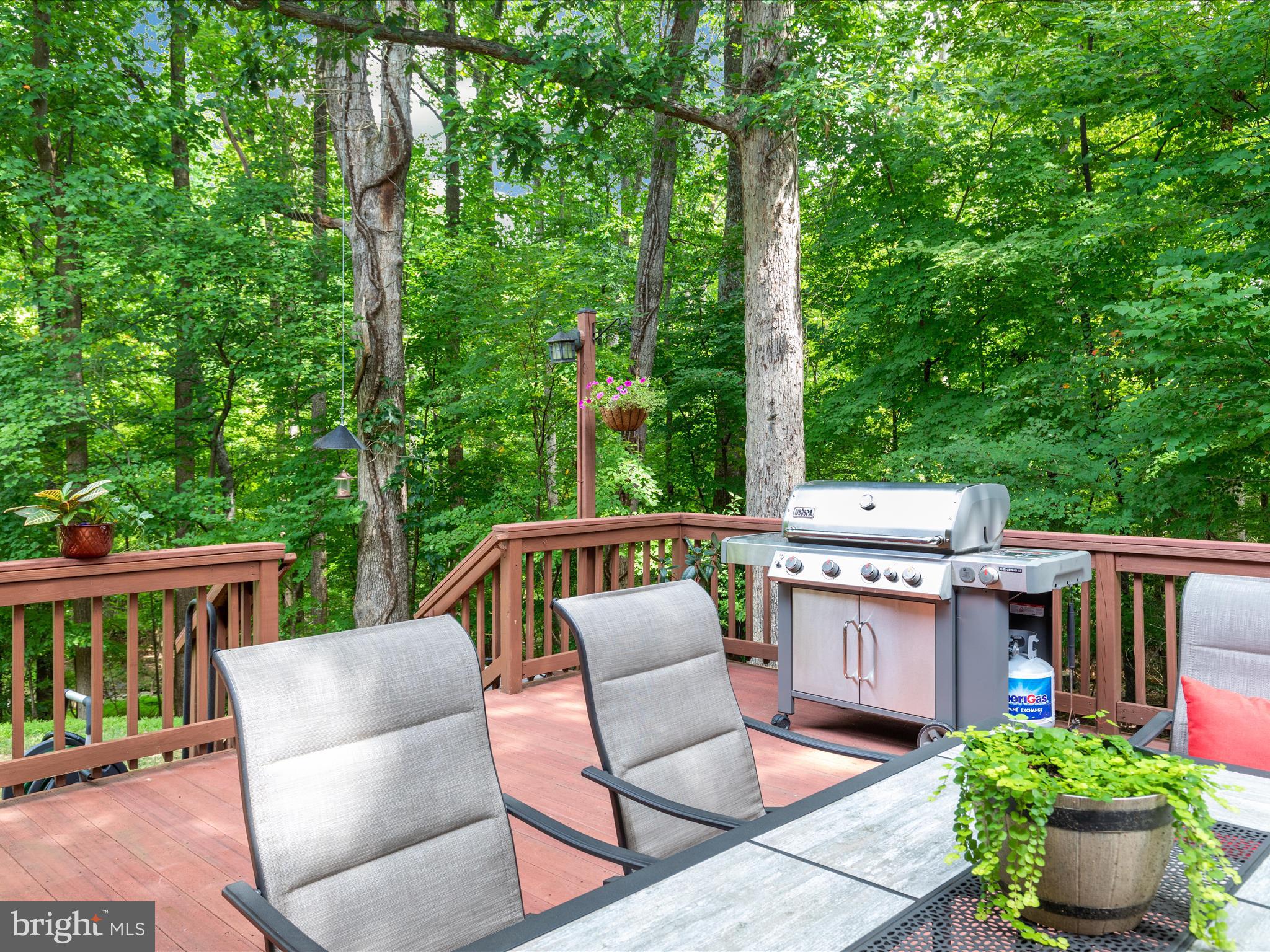 2304 Horseferry Court Reston, VA 20191 - Photo 31 of 66 Deck overlooking mature trees