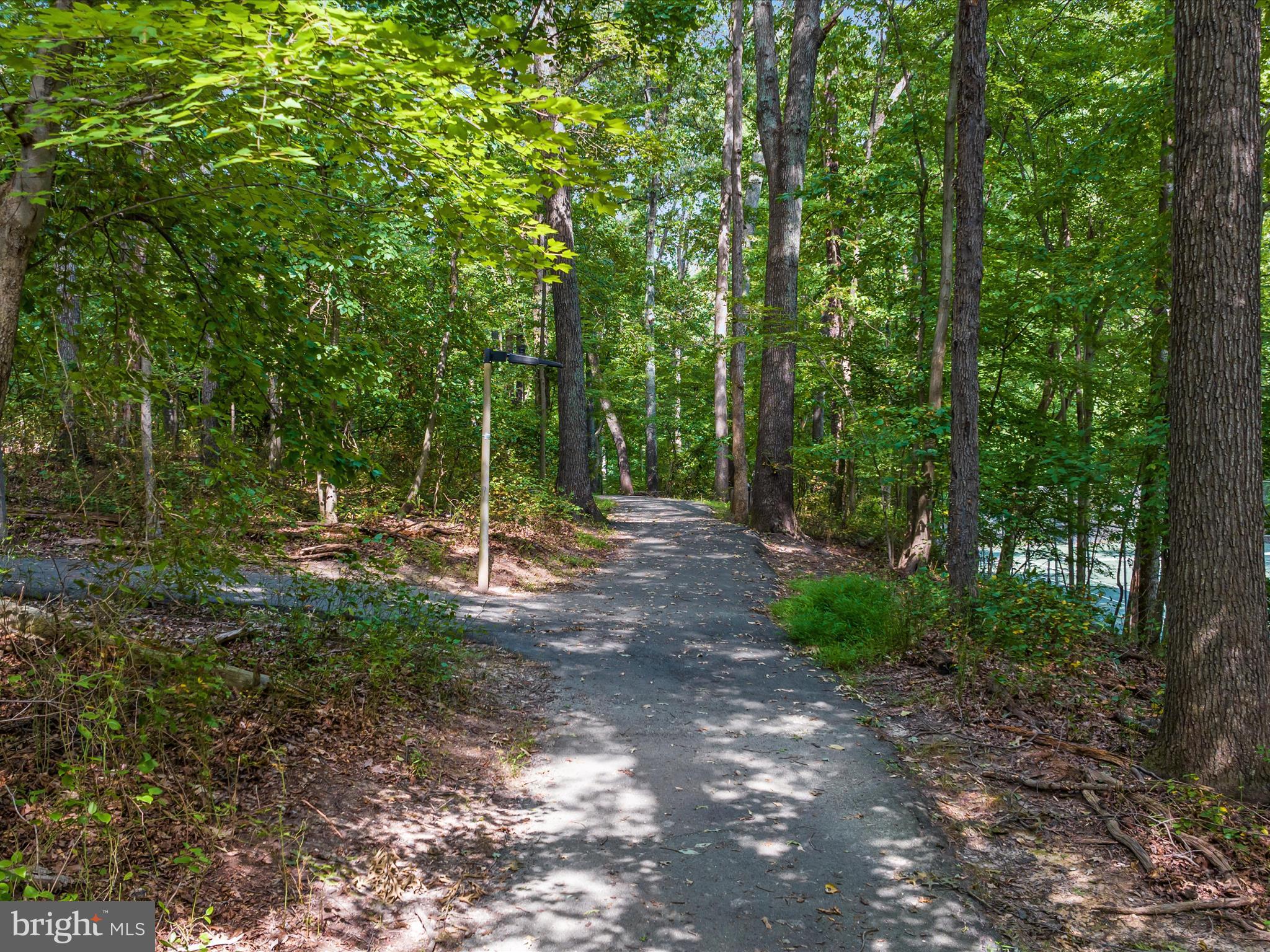 2304 Horseferry Court Reston, VA 20191 - Photo 46 of 66 Community Walking Trails