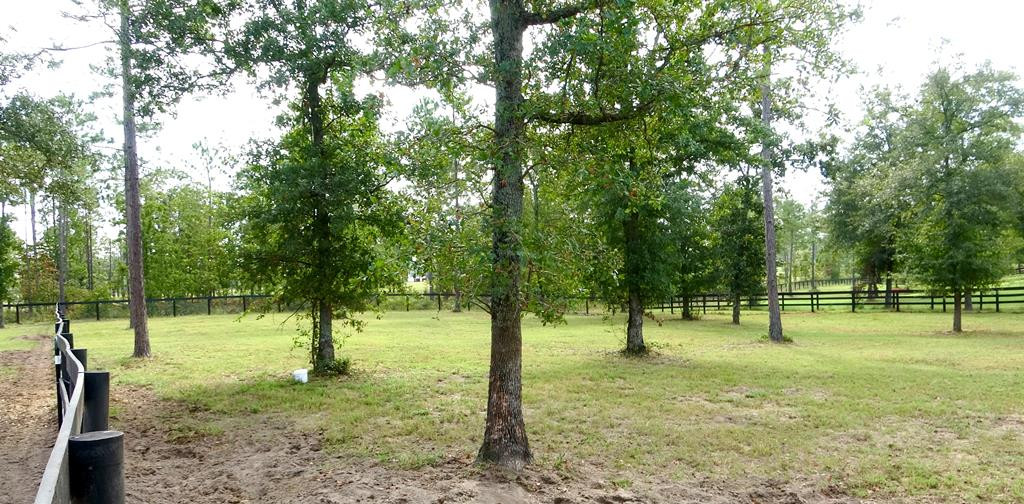 4280 Parque Lane Aiken, SC 29803 - Photo 35 of 42