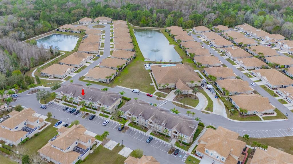 1195 Godavari Way, Unit 104 Wesley Chapel, FL 33543 - Photo 6 of 42