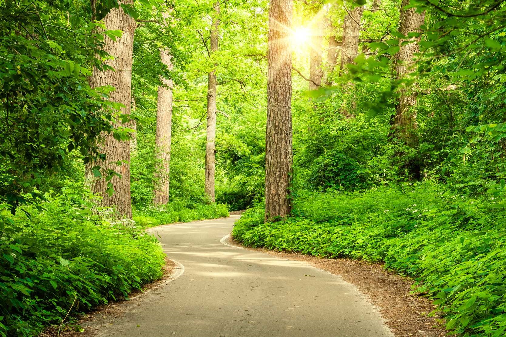 227 Muirfield Pointe Way Montgomery, TX 77316 - Photo 5 of 5