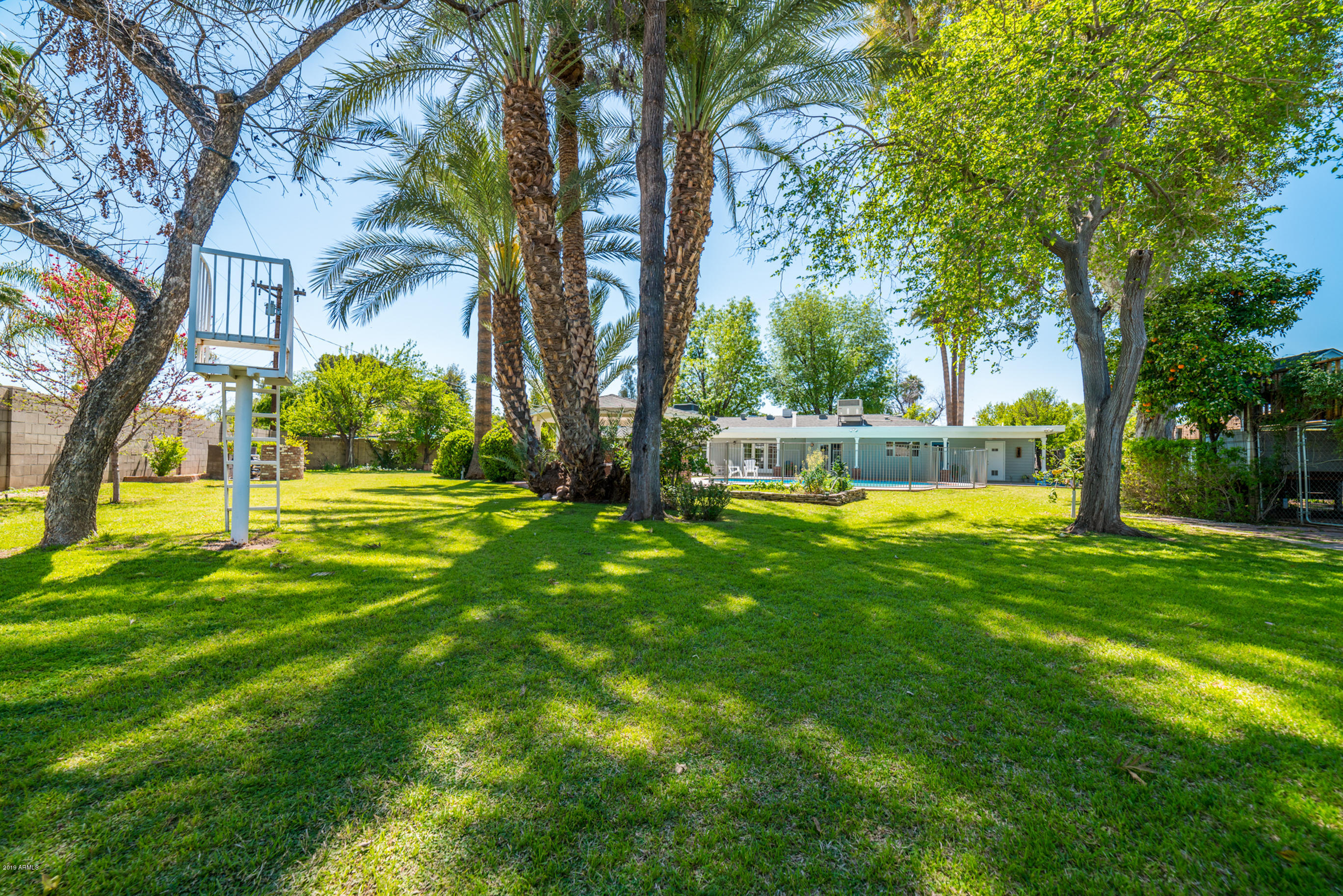 1234 West Ruth Avenue Phoenix, AZ 85021 - Photo 41 of 47 Ruth Backyard 3