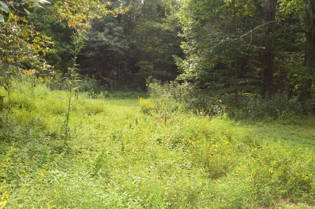 3561 Trapp-Goffs Cor Road Winchester, KY 40391 - Photo 38 of 47 Photo 38