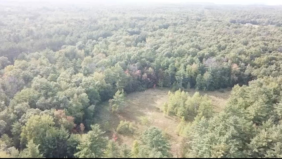 0 Sand Road Merrillan, WI 54754 - Photo 8 of 8