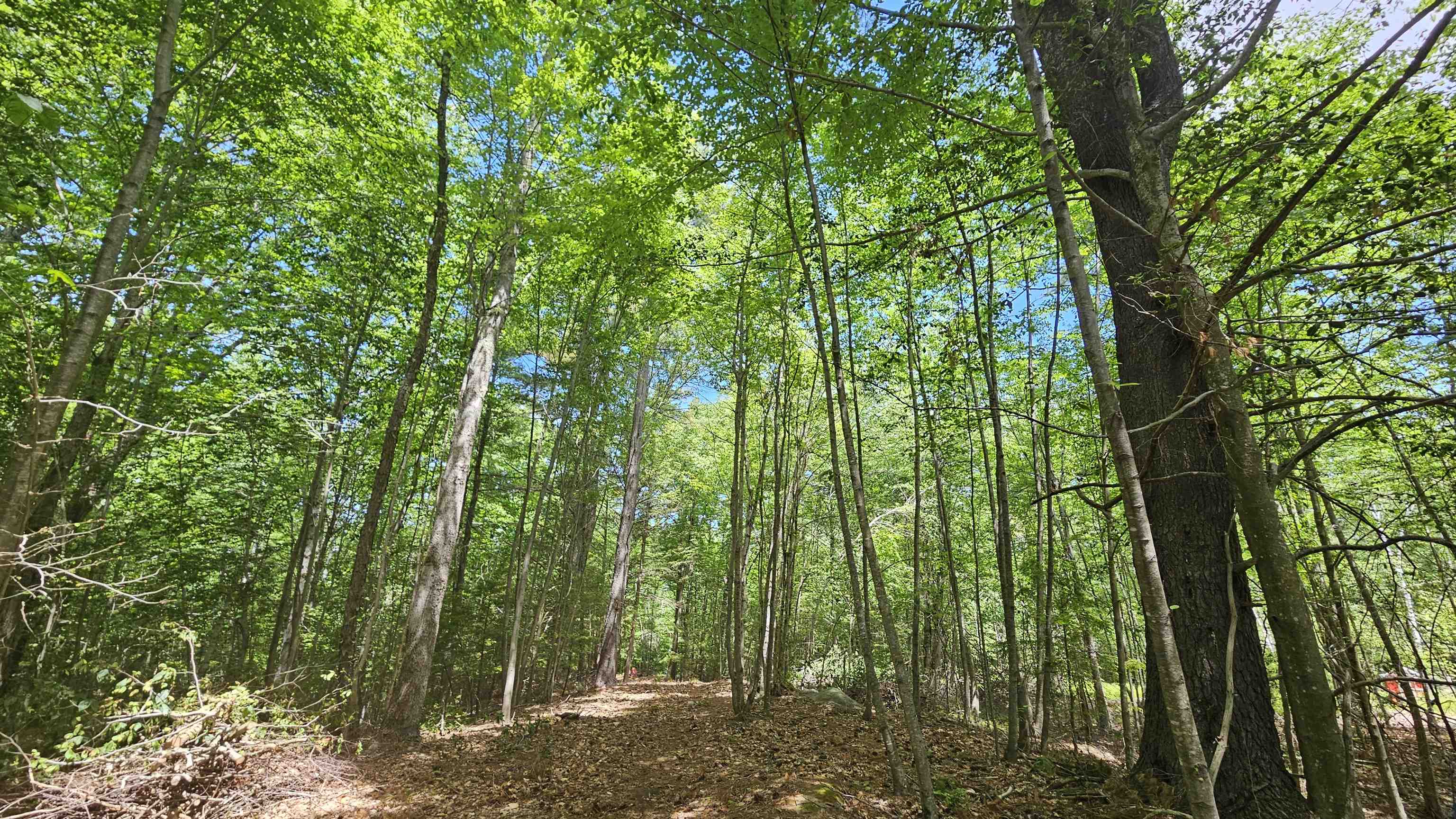 Lot 4 Stevens Hill Road, Unit LOT 4 Nottingham, NH 03290 - Photo 1 of 1