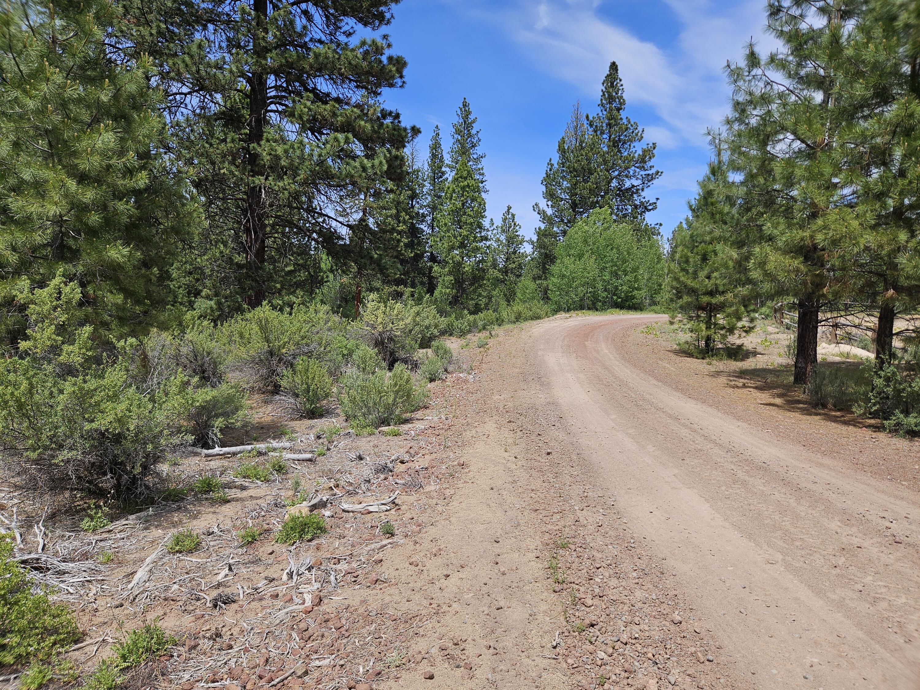 0 Pine Ridge Loop, Unit LOT 7 Chiloquin, OR 97624 - Photo 4 of 5 a view of a road with trees in the background