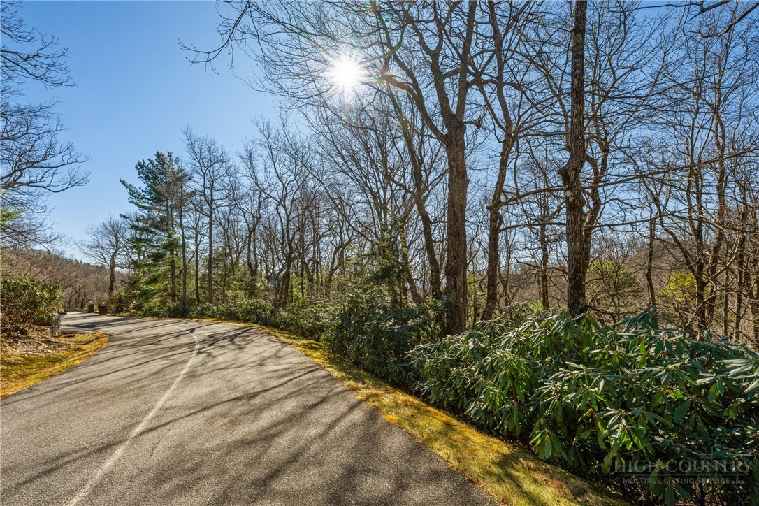 Lot 61 Boone Coffey Trail Boone, NC 28607 - Photo 3 of 22