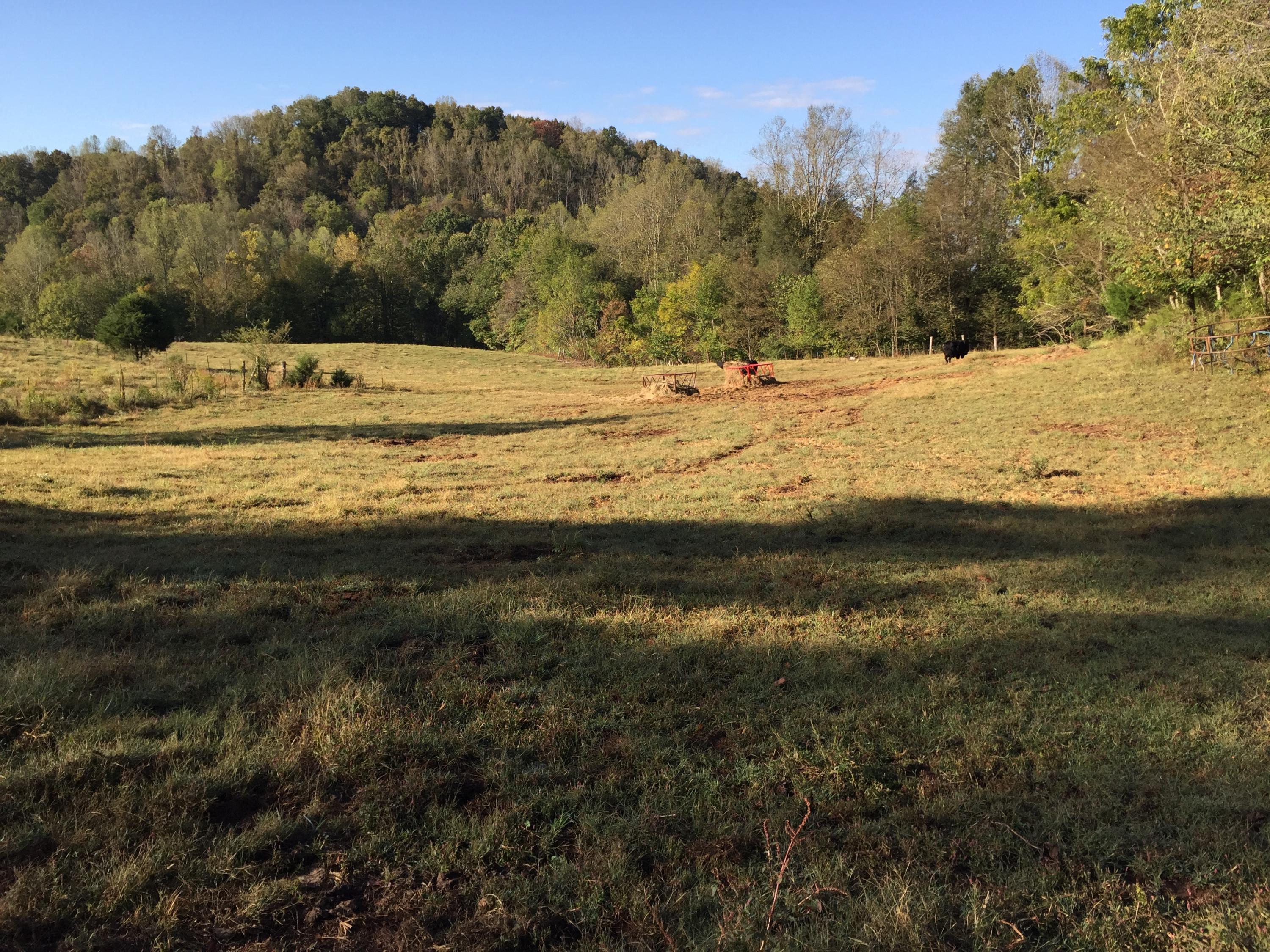 0 Grindstaff Hollow Road Elizabethton, TN 37643 - Photo 1 of 4 Grindstaff 7