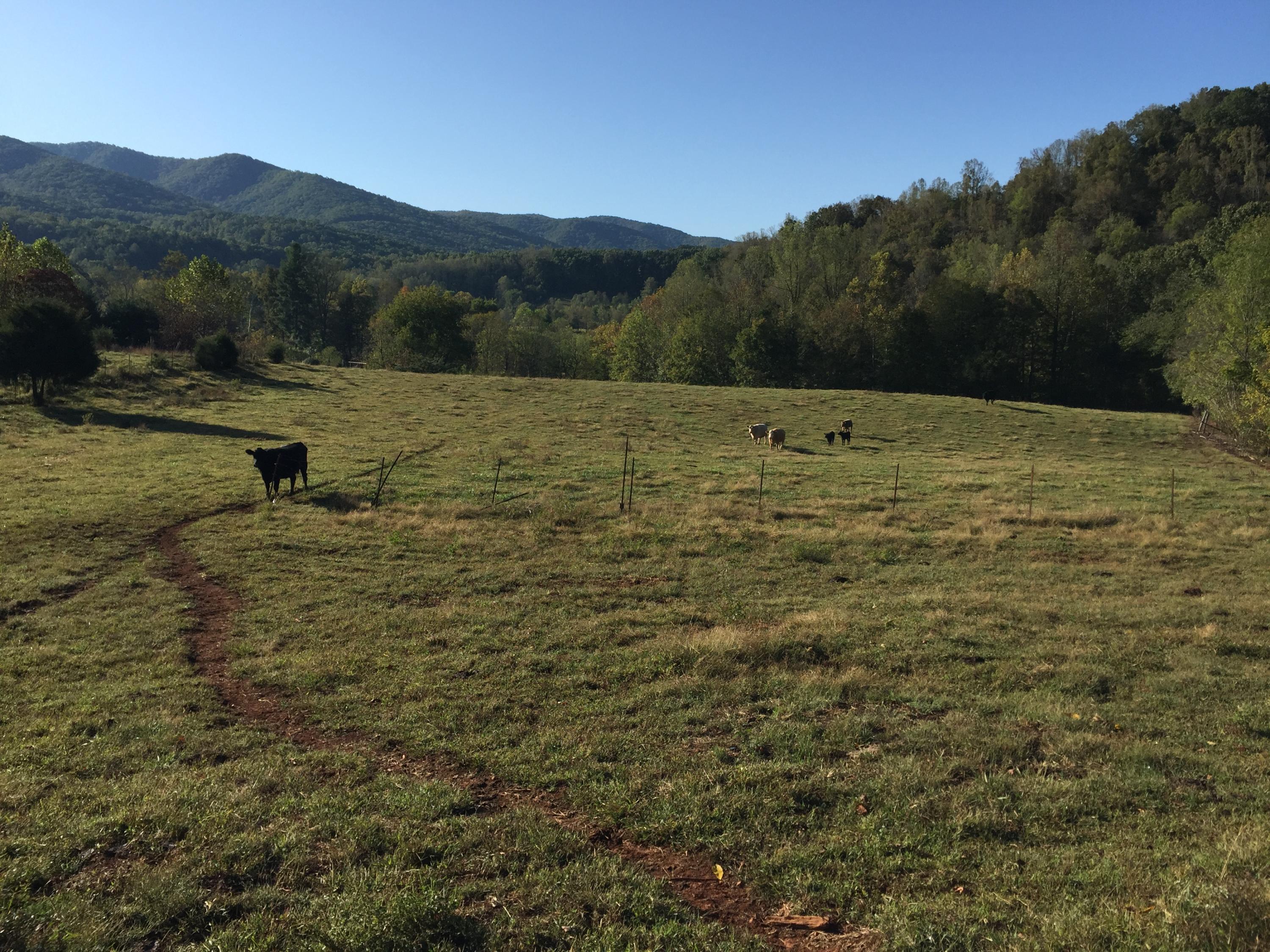 0 Grindstaff Hollow Road Elizabethton, TN 37643 - Photo 2 of 4 Grindstaff 8