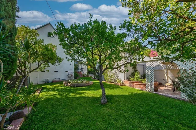a view of a backyard with plants and a large tree