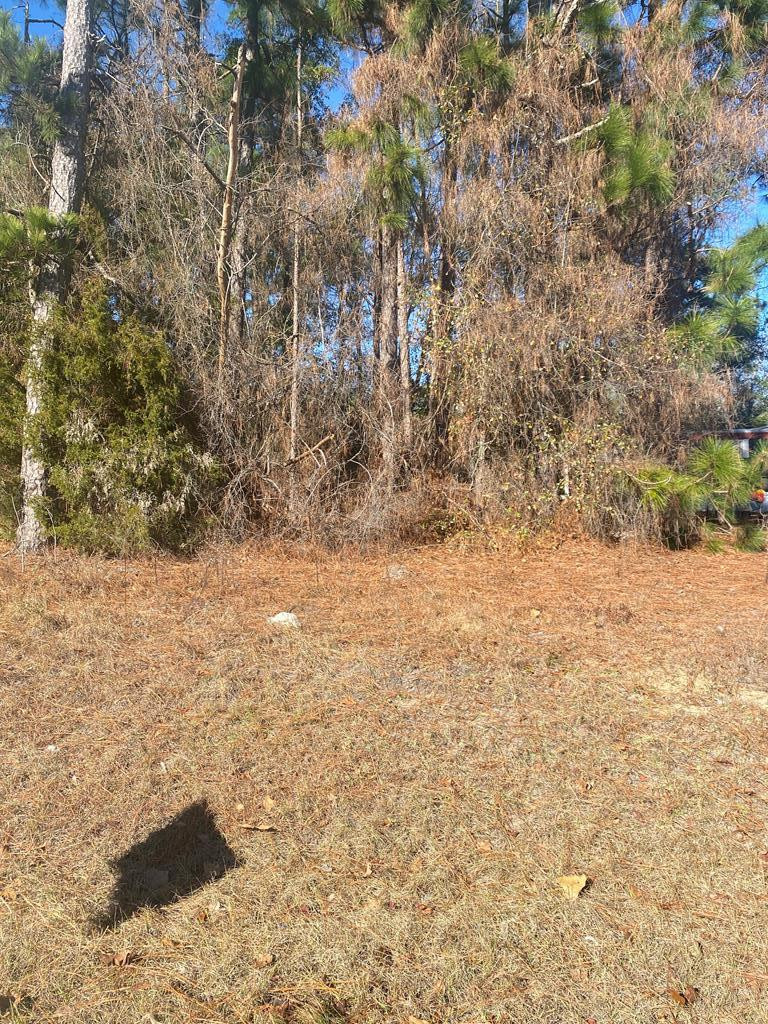 0 Shiloh Heights Road Aiken, SC 29801 - Photo 1 of 1