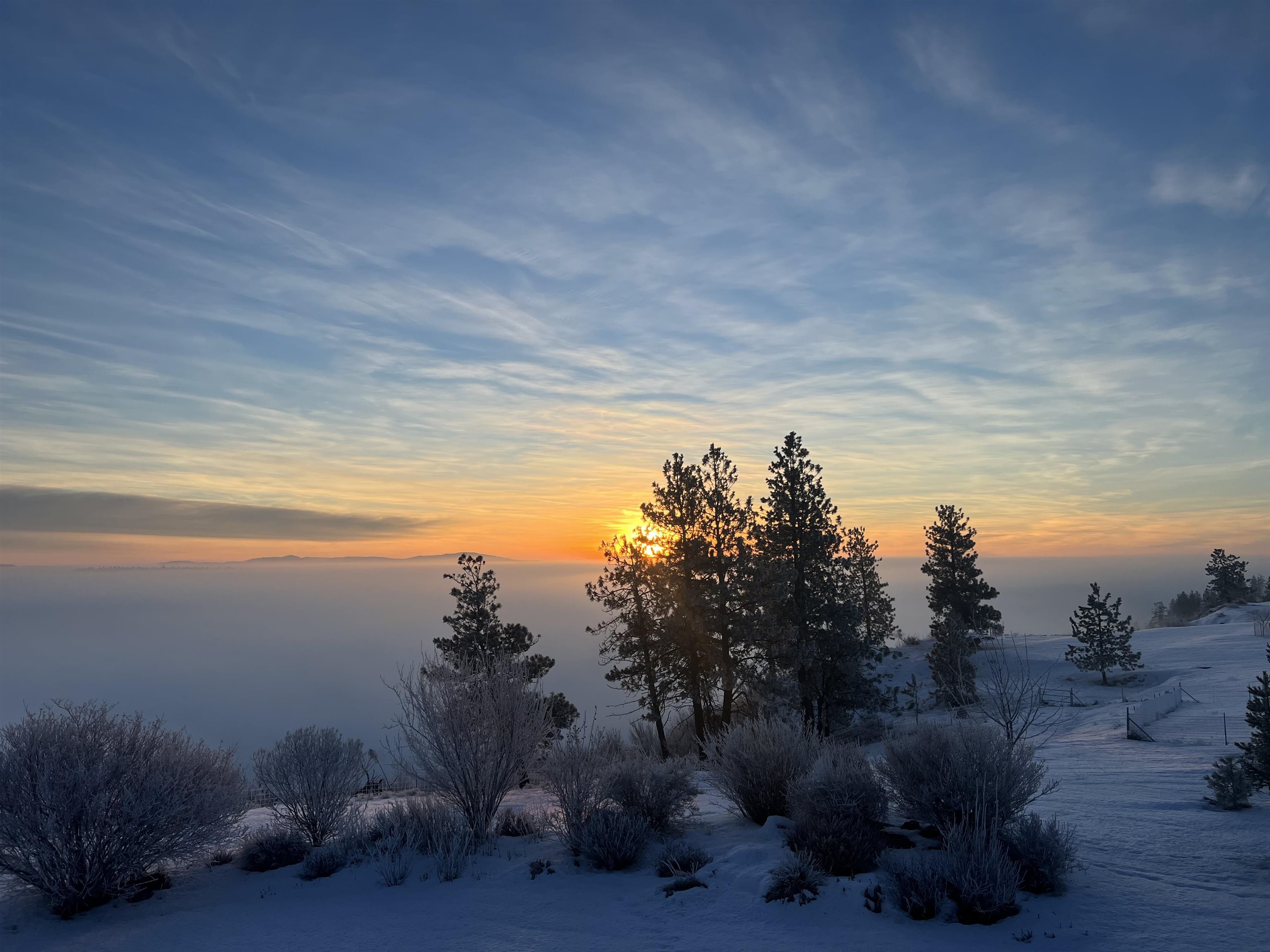 7318 North Prairie Crest Road Spokane, WA 99224 - Photo 48 of 50