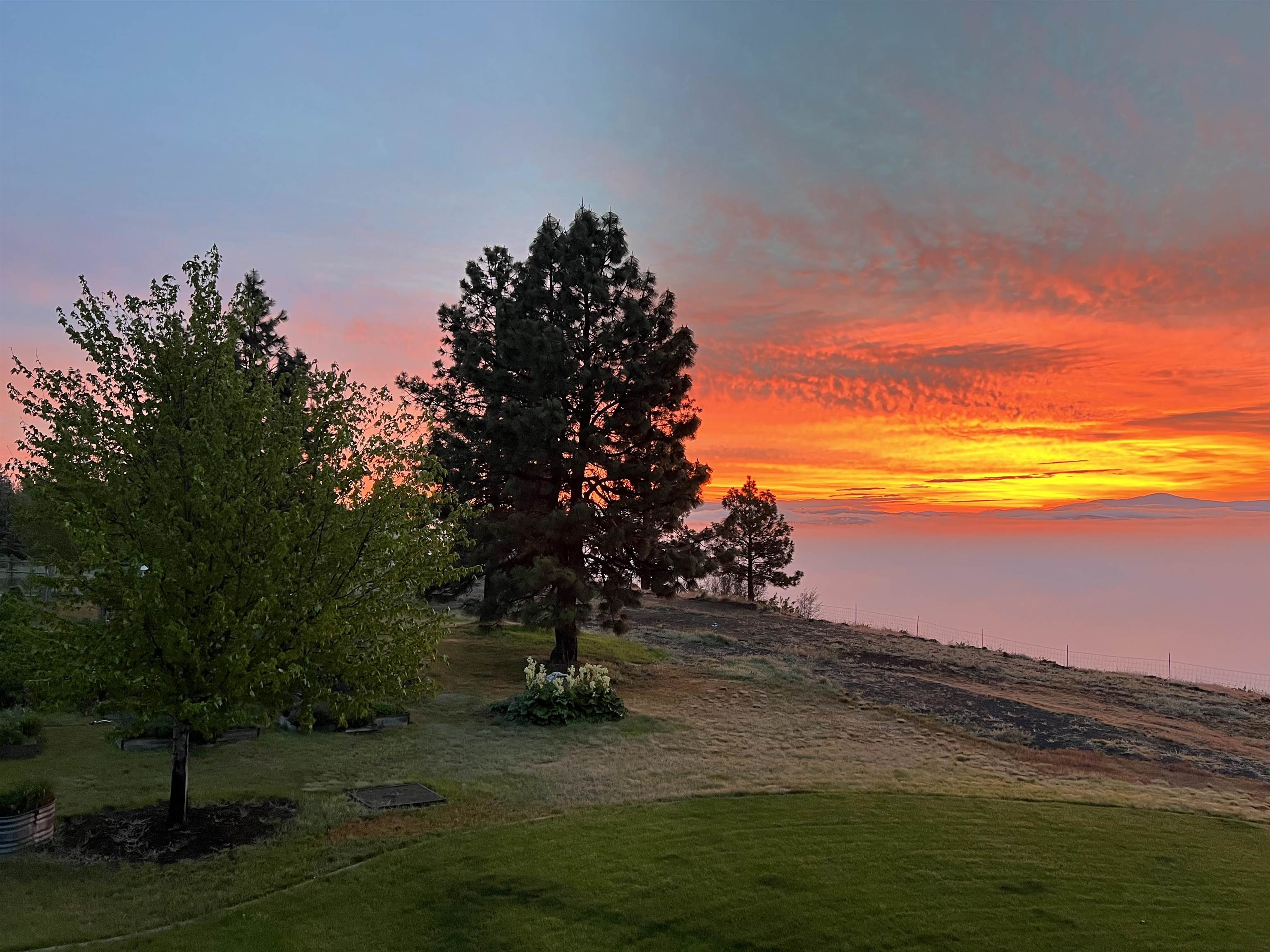 7318 North Prairie Crest Road Spokane, WA 99224 - Photo 50 of 50