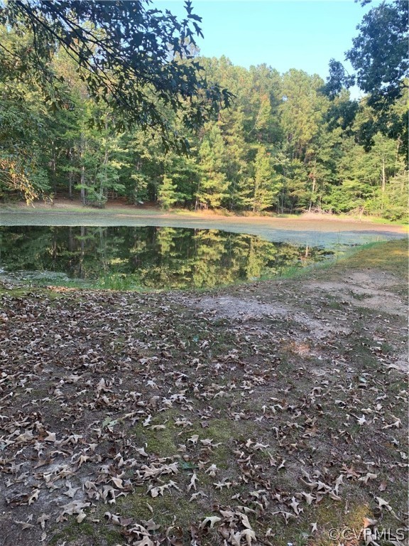1801 Jeter Road Powhatan, VA 23139 - Photo 26 of 41 Gallery Image 26