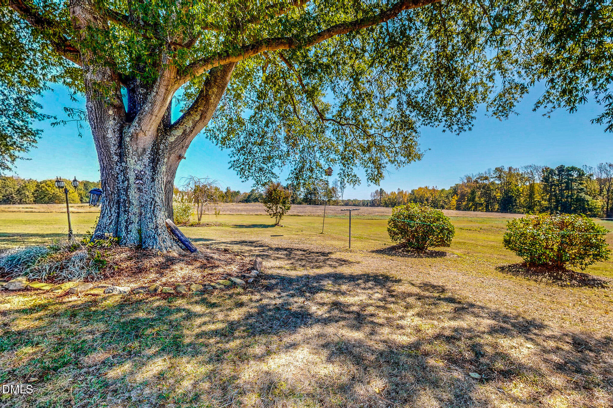 12057 Hurdle Mills Road Hurdle Mills, NC 27541 - Photo 29 of 52 a view of a yard with large trees