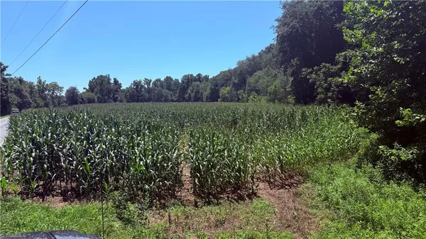 $250,000 | Tbd Rockford Road, Dobson, NC 27017