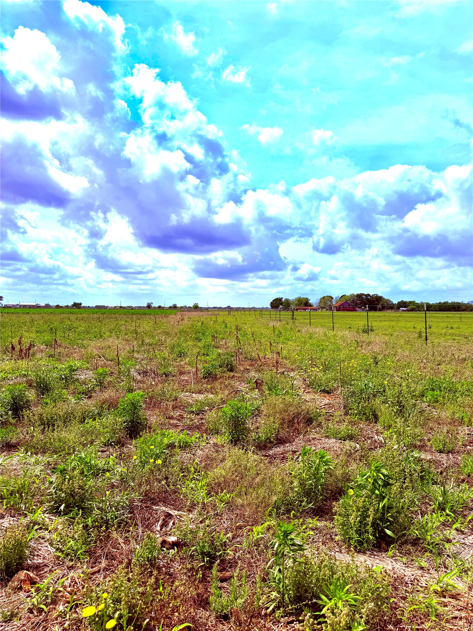 The property features an expansive open field with green foliage and a clear sky with clouds