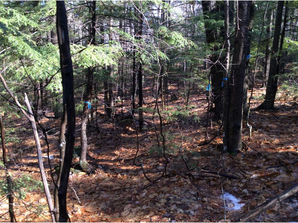 6 Eaton Road Center Conway, NH 03813 - Photo 1 of 6