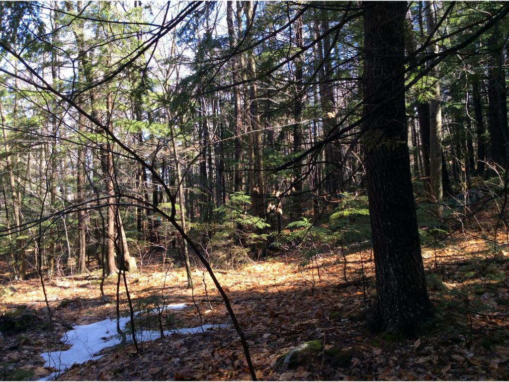 6 Eaton Road Center Conway, NH 03813 - Photo 2 of 6