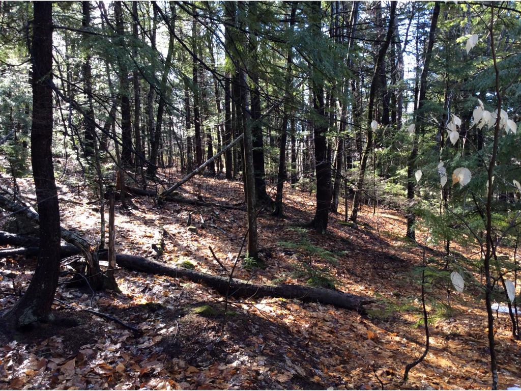6 Eaton Road Center Conway, NH 03813 - Photo 4 of 6