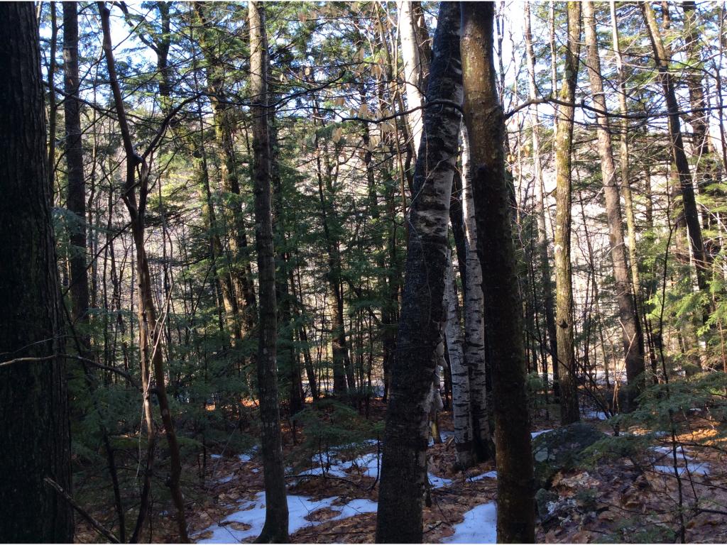 6 Eaton Road Center Conway, NH 03813 - Photo 5 of 6